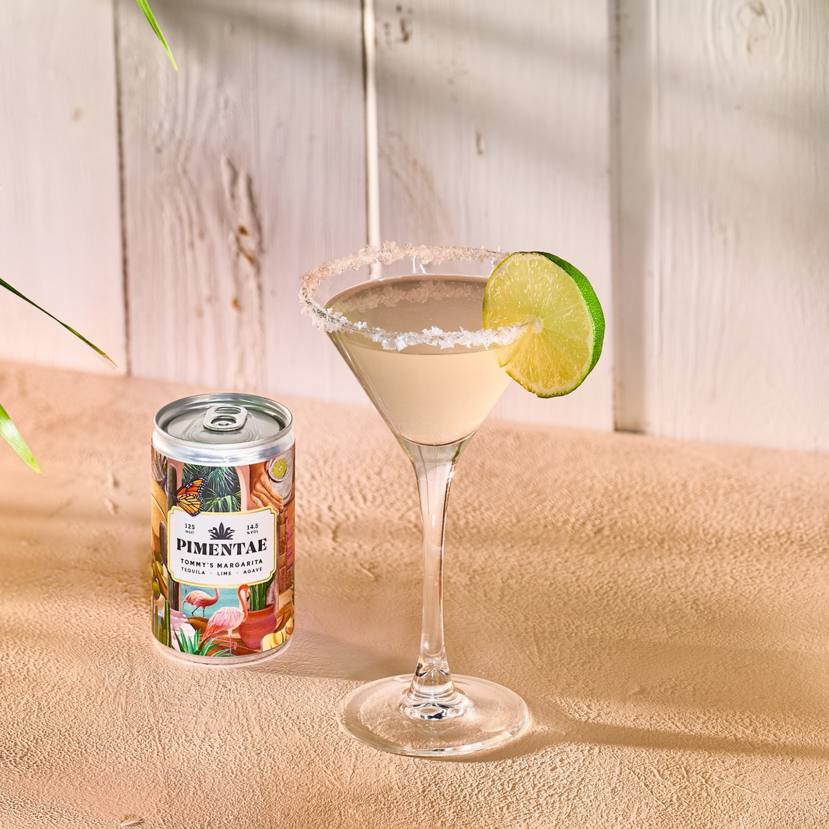 Margarita Cans | Margarita Cocktail | Canned Cocktails | Pimentae