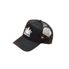 Pimentae Cap